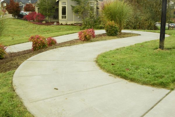 Cost of Concrete Sidewalk Replacement in Petaluma
