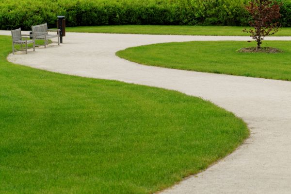Cost of Concrete Walkway Installation in Petaluma