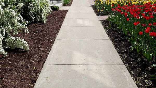 Cost of Cement Sidewalk Installation in Petaluma