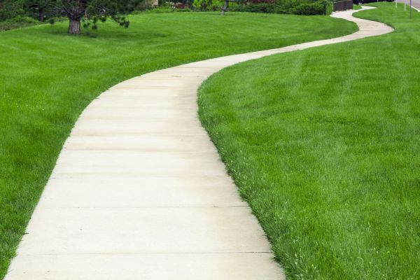 Cost of Pathway Replacement in Petaluma