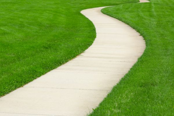 Cost of Walkway Building in Petaluma