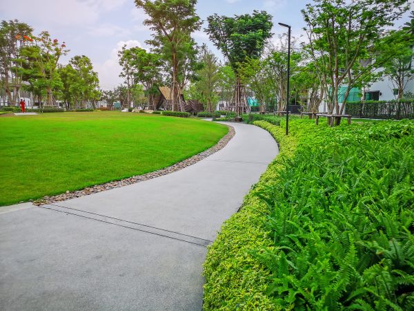 Cost of Cement Walkway Service in Petaluma